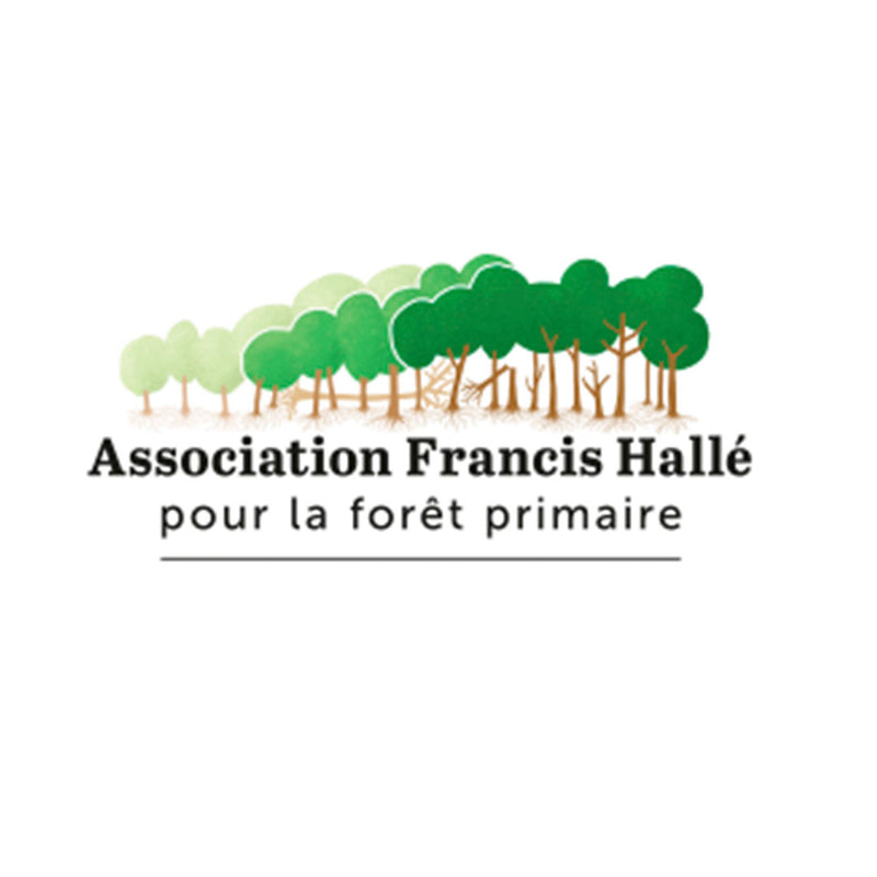 Logo de l’association Francis Hallé Forêt Primaire