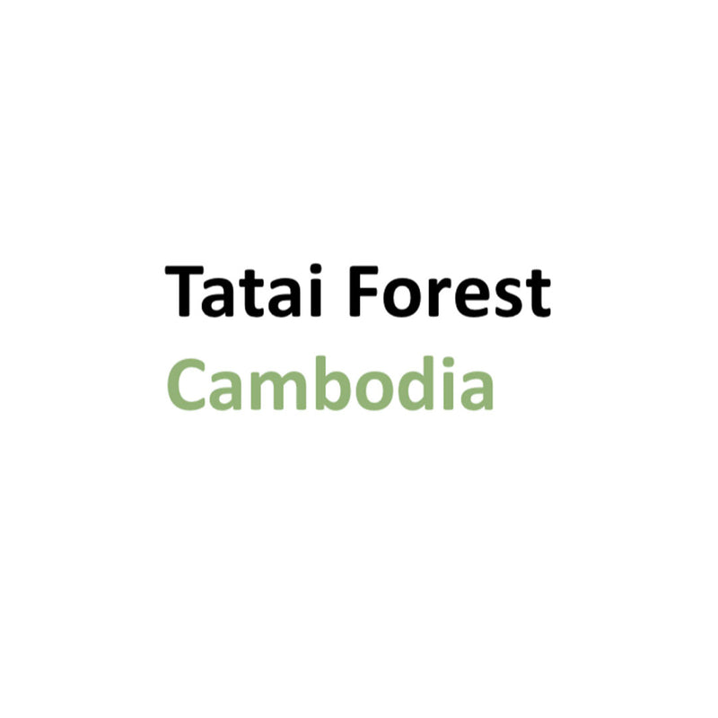 Logo Tatai Forest Cambodia