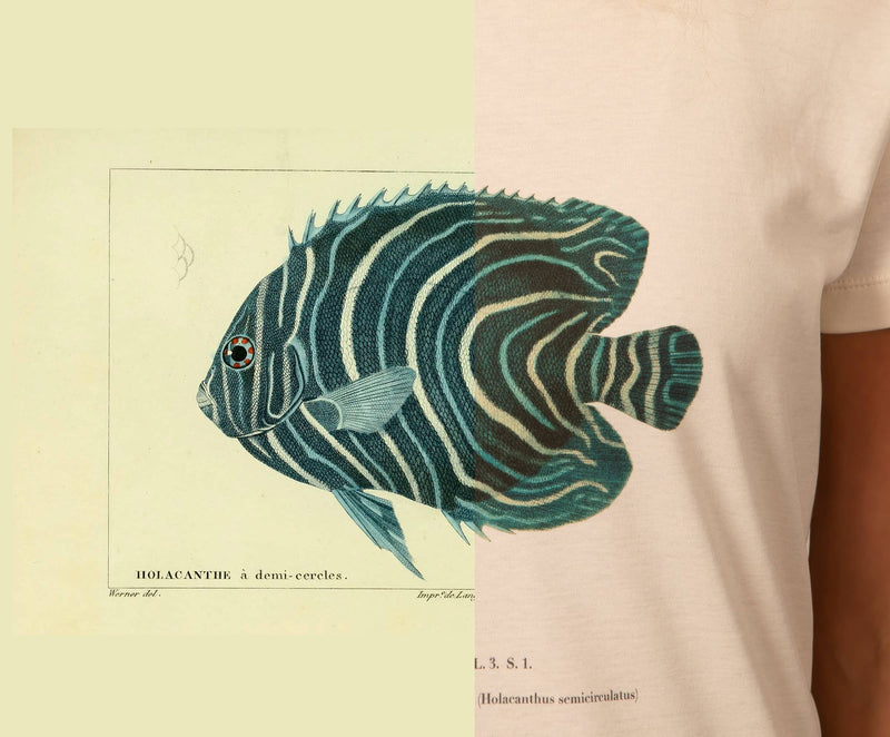 Comparatif planche originale vs impression T-Shirt Fanatura poisson